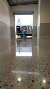 IMAG0252.jpg